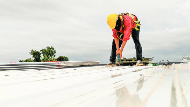 Best Sheet Metal Roofing  in Honey Grove, TX